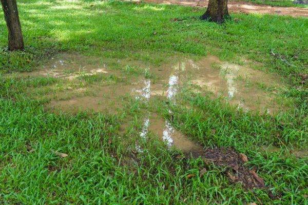 Cost of Storm Water Drainage Service in Parker