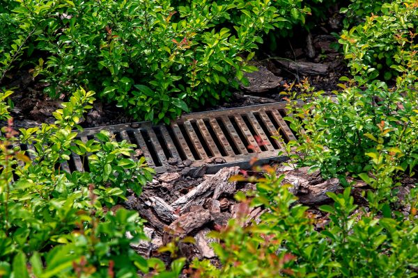 Cost of Underground Drainage Service in Parker