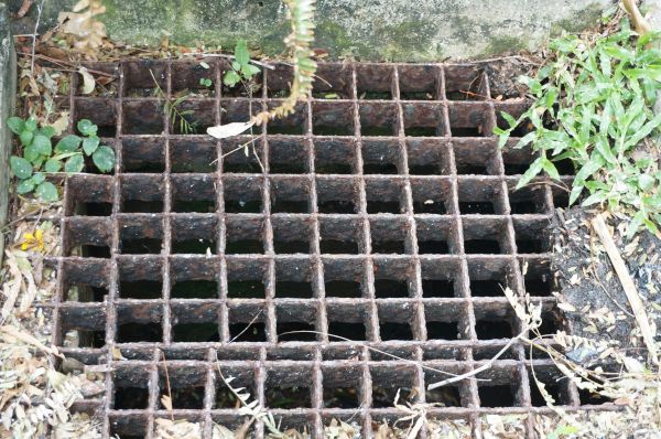 Cost of Yard Drain Cleaning in Parker