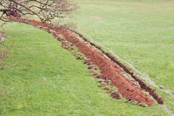 Cost of Swale Installation in Parker