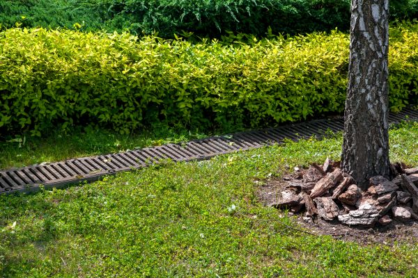 Cost of Residential Landscape Drainage in Parker
