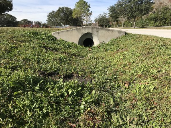 Cost of Swale Drainage Service in Parker