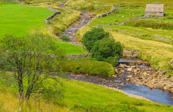 Cost of Swale Repair in Parker